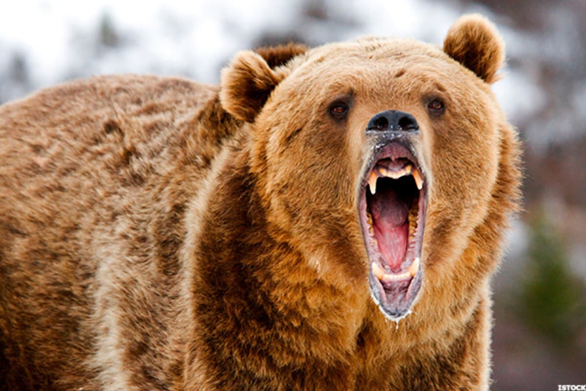 Bearish Bets: Little Support for This Biotech, Video Chat & Ad Tech Co.